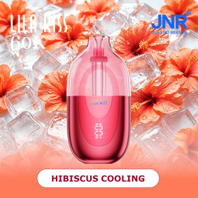 Hibiscus Cooling JNR Lila Kiss 60K 0%NIC
